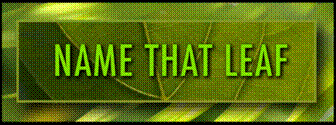 https://mlsvc01-prod.s3.amazonaws.com/255436e8001/33ed8b3e-9c53-4e2c-9d4e-9b456850fa10.png