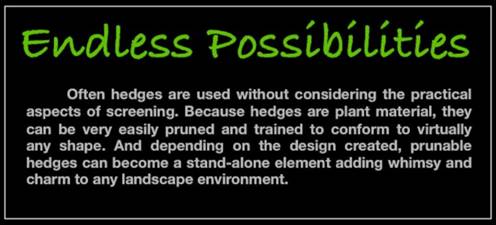 http://files.constantcontact.com/255436e8001/6b4fdfb0-4fd6-40b8-9cb8-227025220daa.jpg